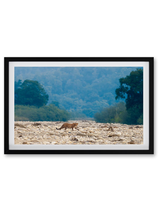 Leopard Crossing Riverbed – Landscape Wildlife  Framed Wall Art | Jungle Safari Nature Print
