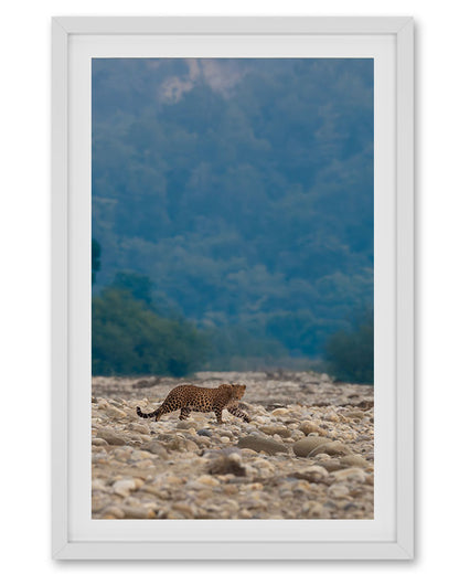 Solitude – Leopard famed Wall Art for Earthy  Interiors
