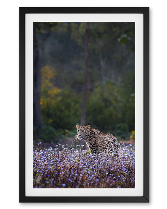 Whisper – Leopard in Wildflower Field photo frame  for Serene Interiors
