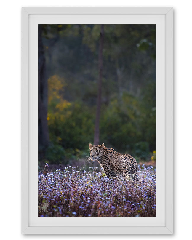 Whisper – Leopard in Wildflower Field photo frame  for Serene Interiors