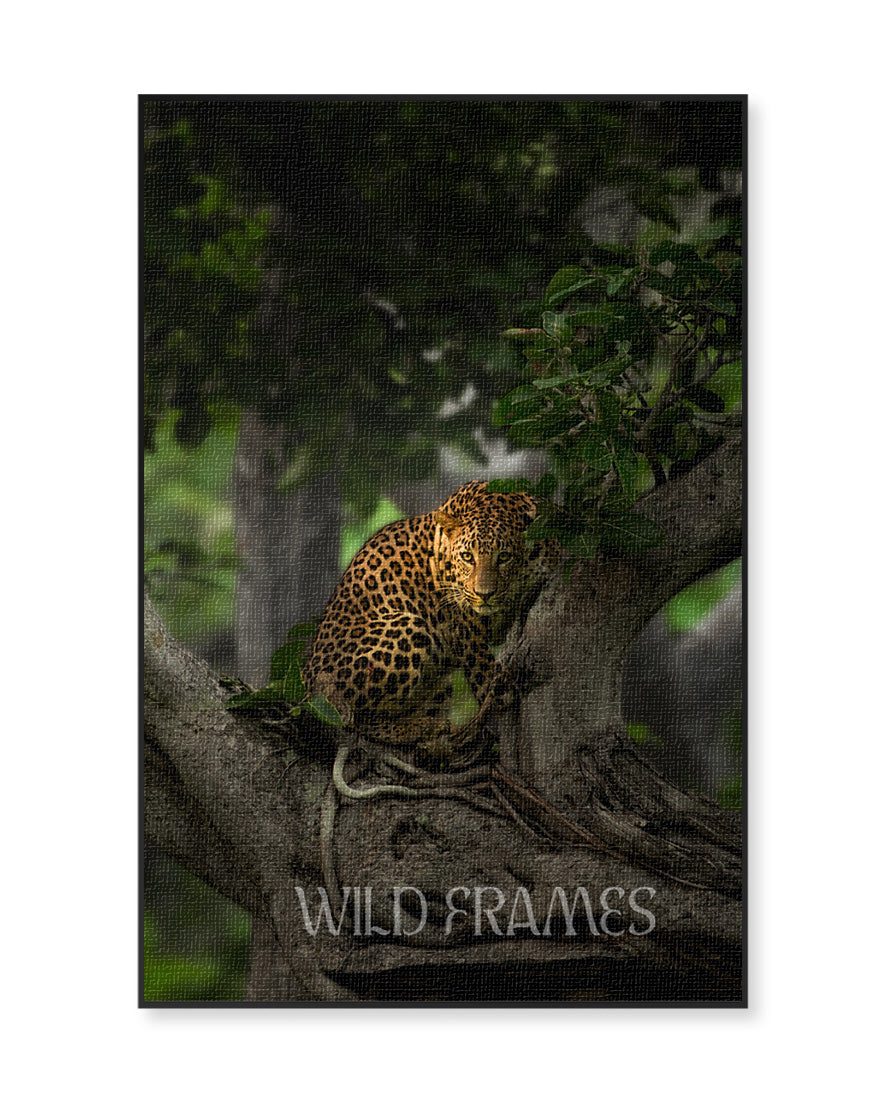 Shadow light – Leopard Tree Canvas for Luxe  Nature Decor
