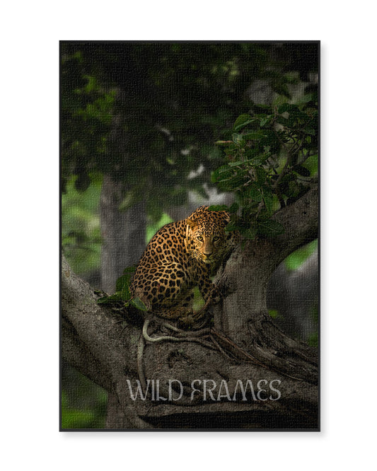 Shadow light – Leopard Tree Canvas for Luxe  Nature Decor
