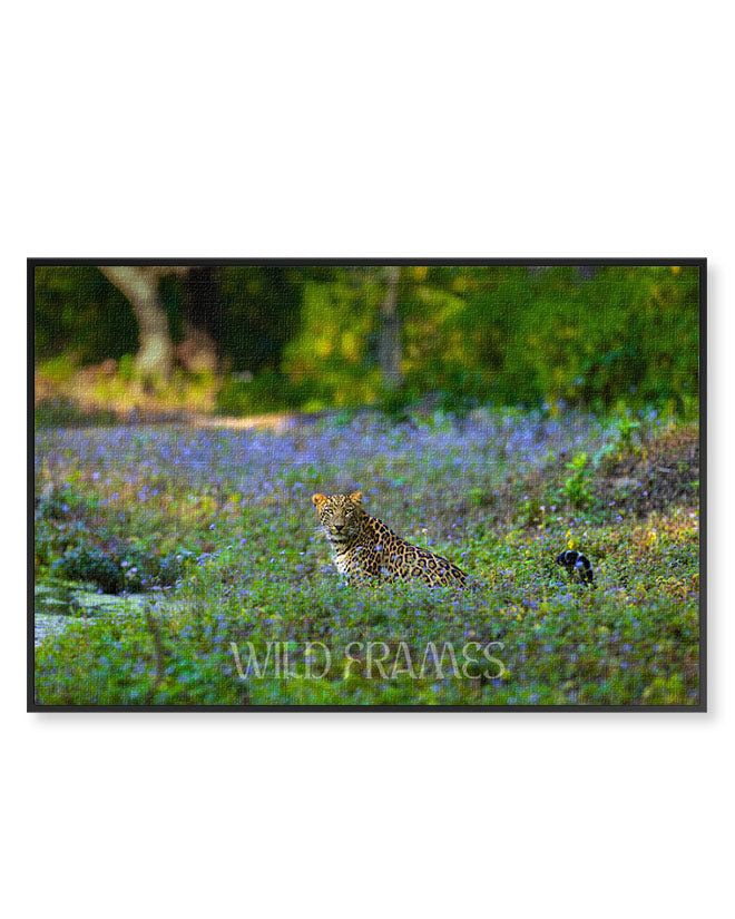 Leopard Sitting in the Flower Field - Canvas
