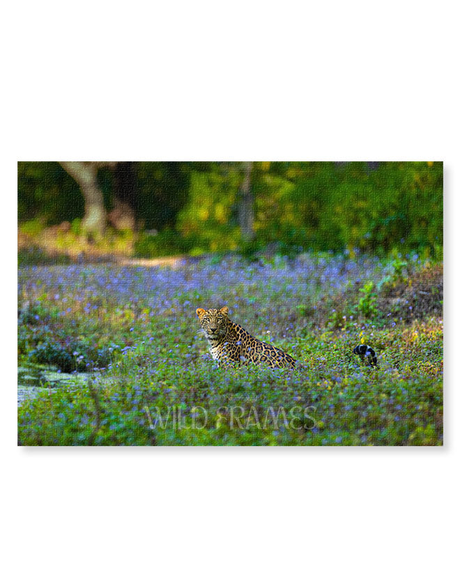 Leopard Sitting in the Flower Field - Canvas
