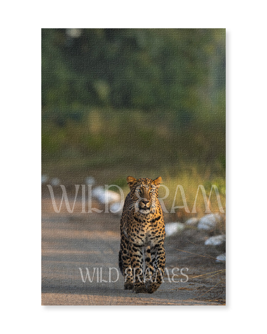 Stare – Leopard Canvas Wall Art for Refined  Interiors