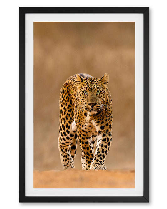 Leopard Warm - Premium Paper
