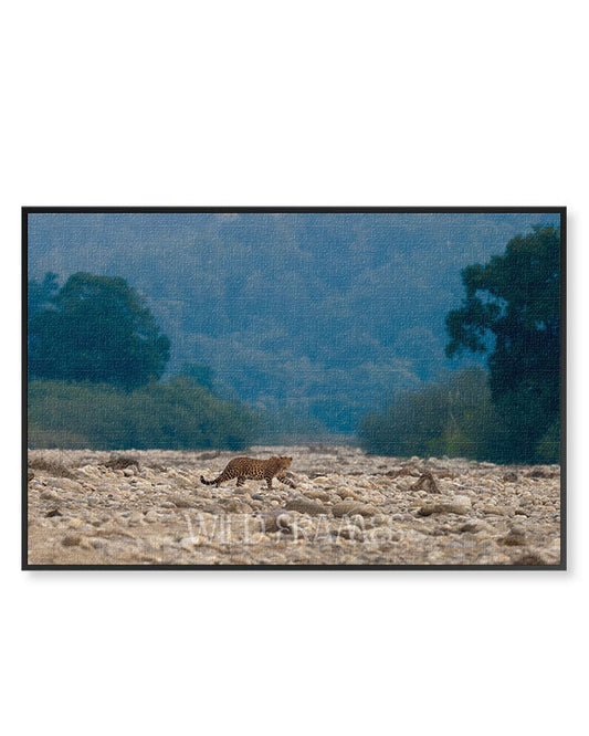 Leopard Crossing Riverbed – Landscape Wildlife  Canvas Wall Art | Jungle Safari Nature Print