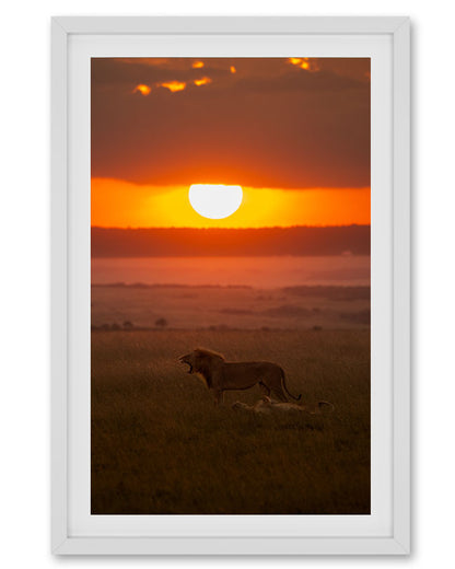 Sunset Sovereignty – Eco-Luxury Wildlife  premium paper wall Frame