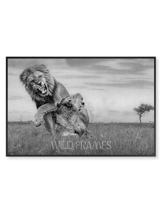 Lion Love Black and White - Canvas