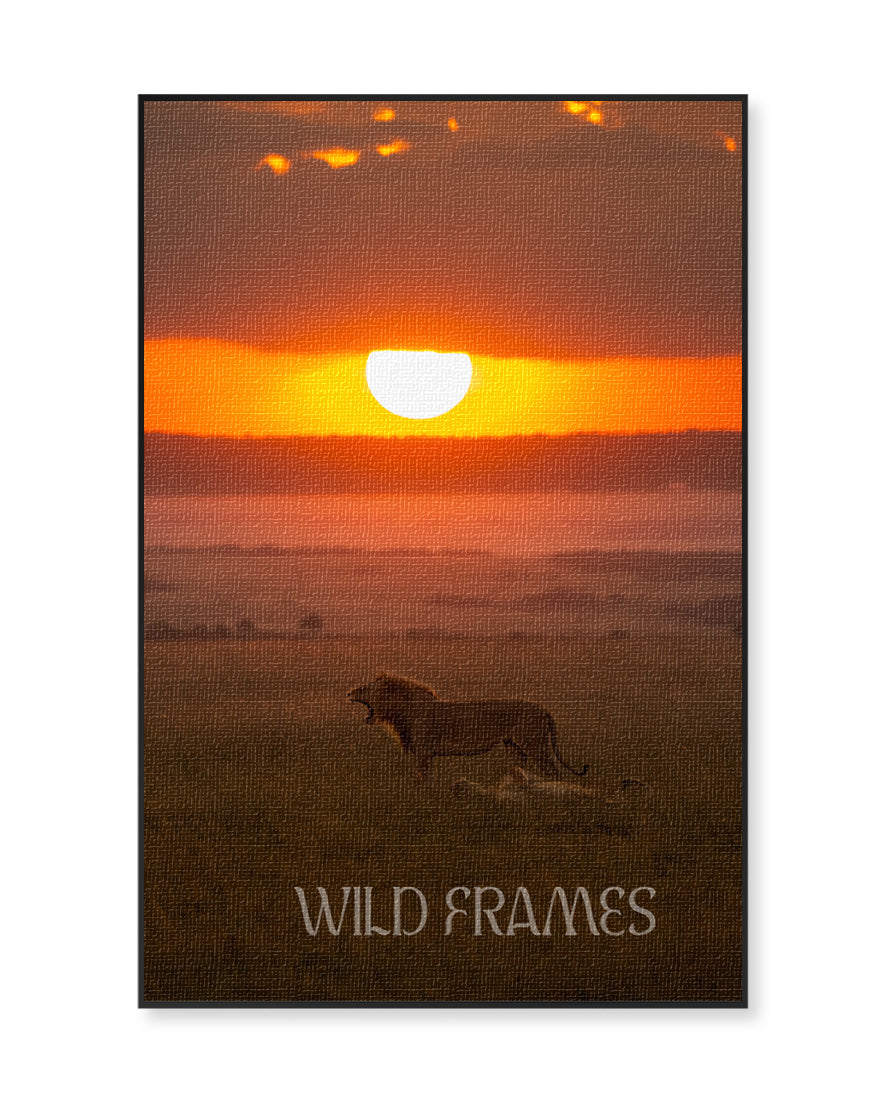 Sunset Sovereignty – Eco-Luxury Wildlife  Canvas Frame