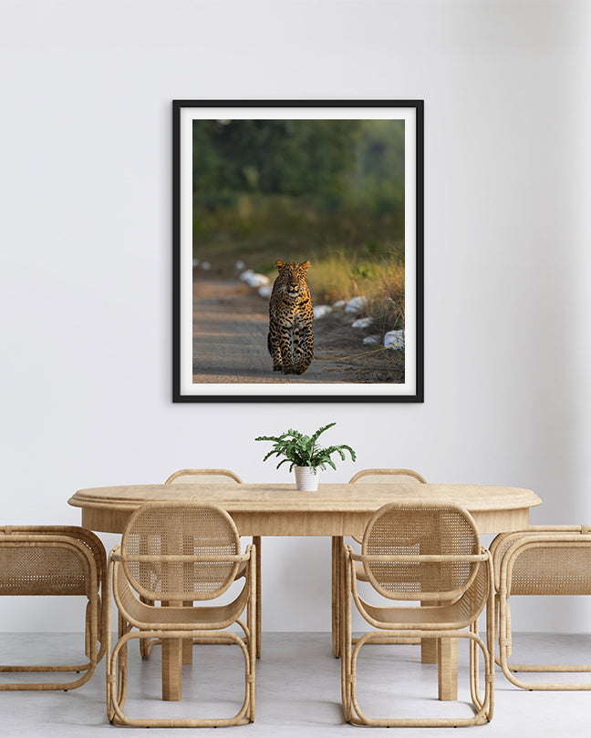 Stare – Leopard photo frame Wall Art for Refined  Interiors