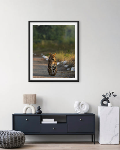 Stare – Leopard photo frame Wall Art for Refined  Interiors