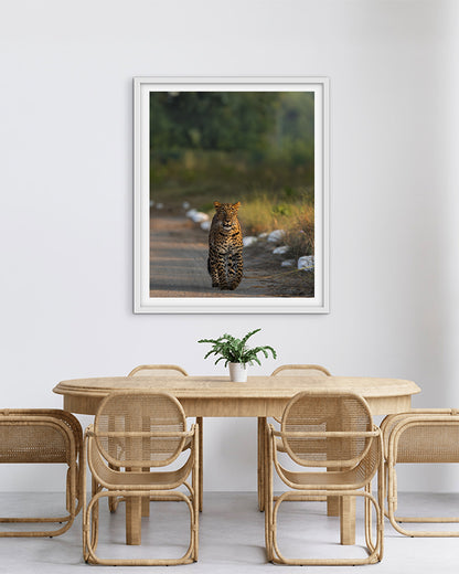 Stare – Leopard photo frame Wall Art for Refined  Interiors