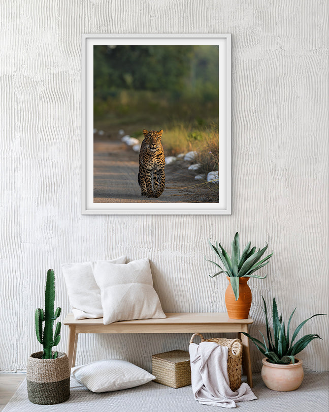 Stare – Leopard photo frame Wall Art for Refined  Interiors