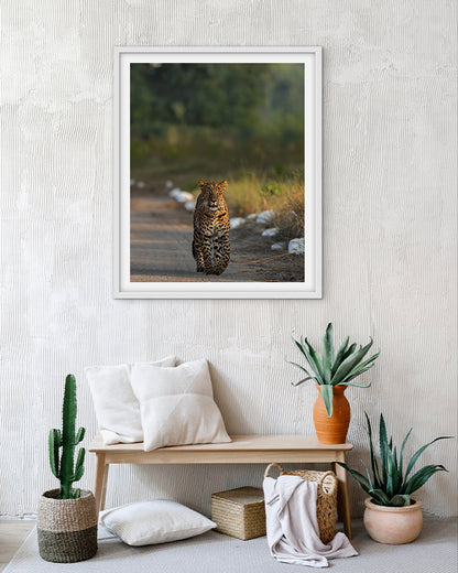Stare – Leopard photo frame Wall Art for Refined  Interiors
