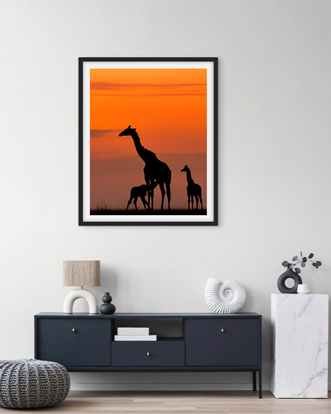 Golden hour grace, nature’s nurture.