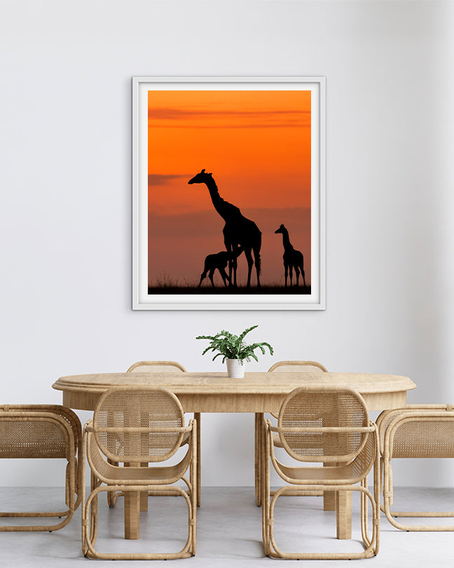 Golden hour grace, nature’s nurture.