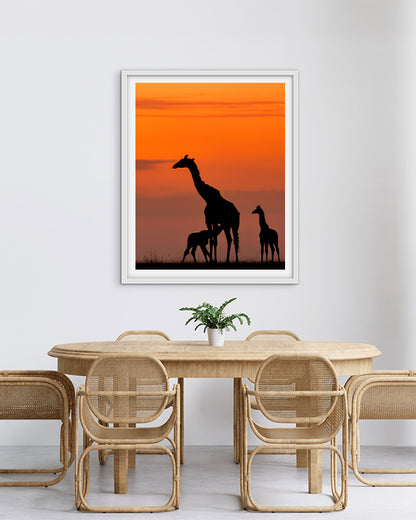 Golden hour grace, nature’s nurture.