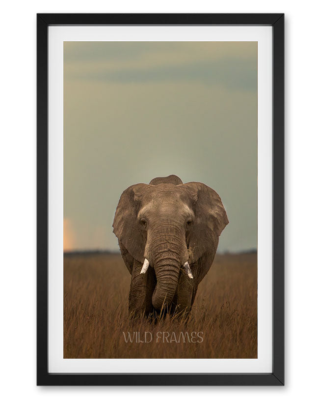 Soul of the Soil – Sustainable Elephant Canvas  Frame