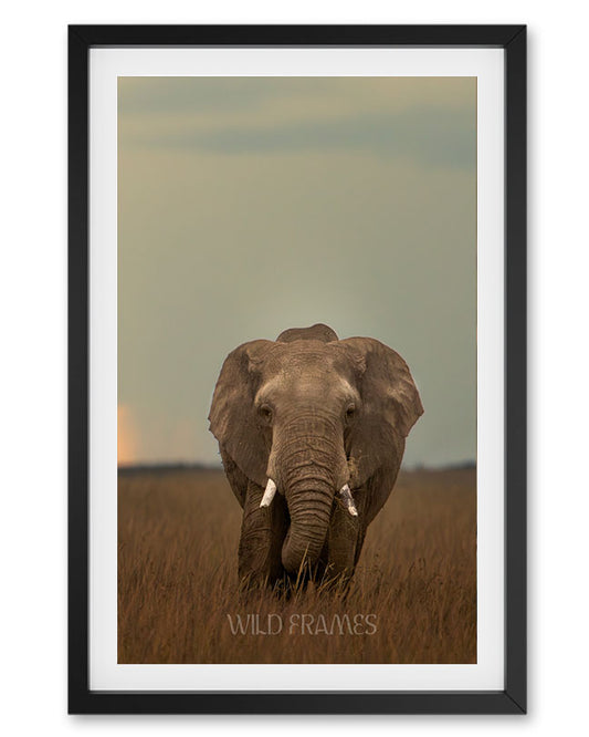 Soul of the Soil – Sustainable Elephant Canvas  Frame