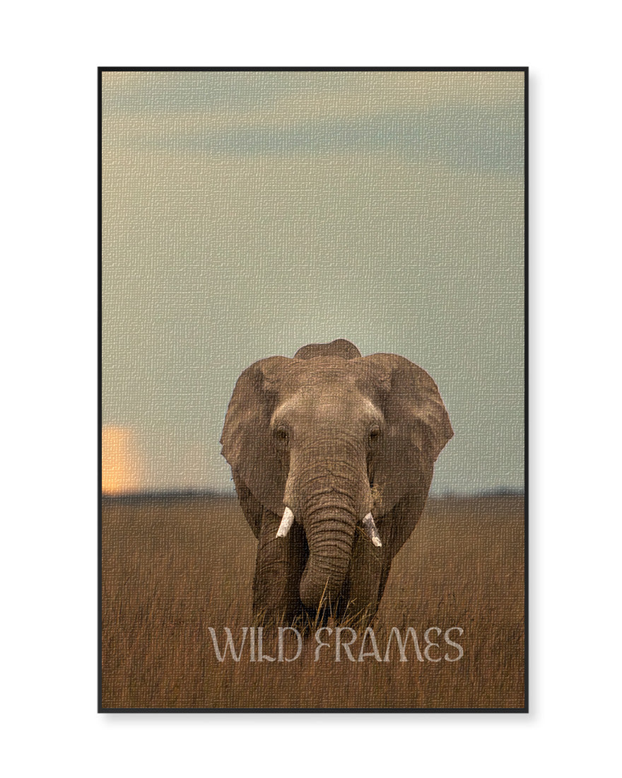 Soul of the Soil – Sustainable Elephant Canvas  Frame