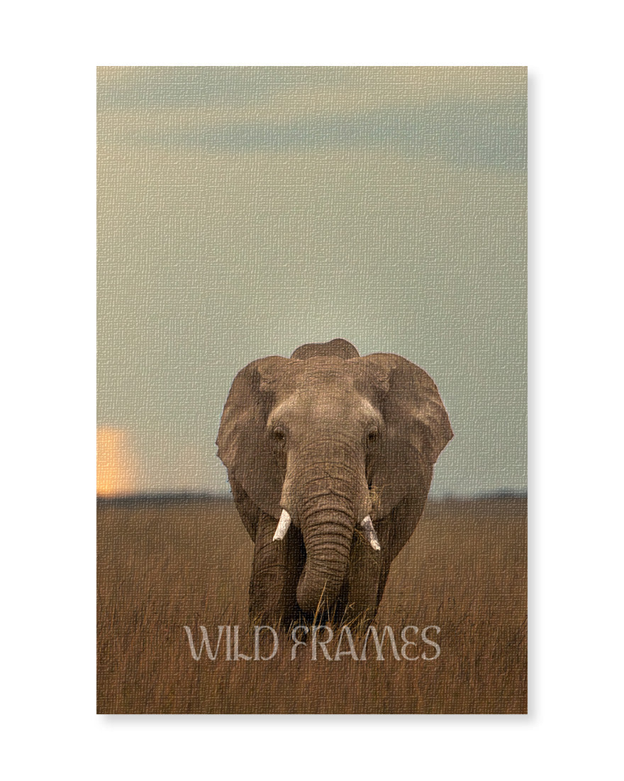 Soul of the Soil – Sustainable Elephant Canvas  Frame