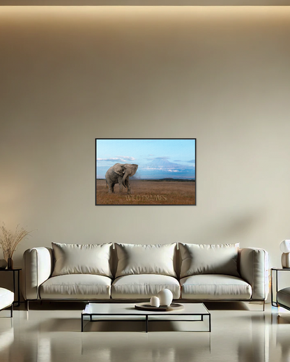 The mighty tusker stands proud, with Kilimanjaro’s beauty in the background-canvas
