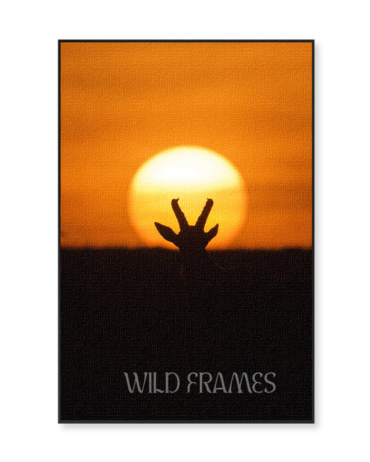Sunset crown in the wild - canvas wall art