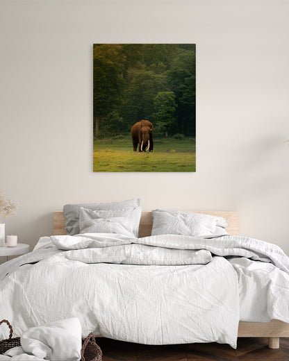 The Heart of India: A Majestic Tusker Stands Proud in the Heart of Nature - canvas
