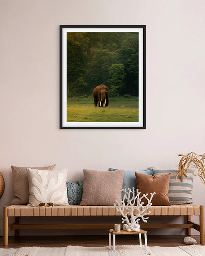 The Heart of India: A Majestic Tusker Stands Proud in the Heart of Nature - premium paper