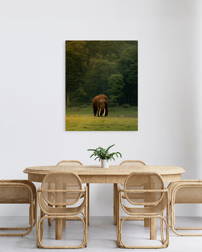 The Heart of India: A Majestic Tusker Stands Proud in the Heart of Nature - canvas