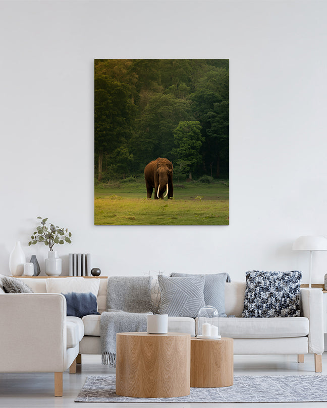 The Heart of India: A Majestic Tusker Stands Proud in the Heart of Nature - canvas