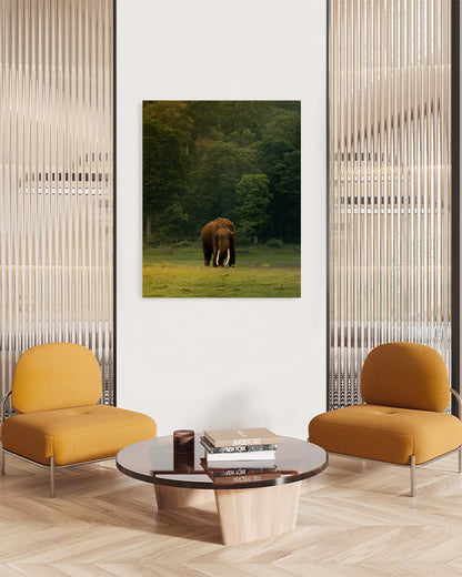 The Heart of India: A Majestic Tusker Stands Proud in the Heart of Nature - canvas