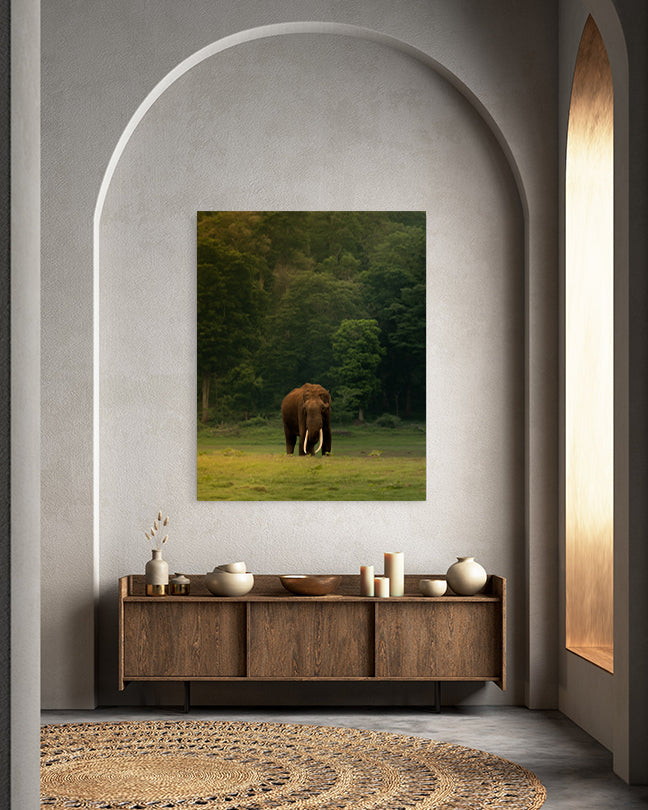 The Heart of India: A Majestic Tusker Stands Proud in the Heart of Nature - canvas