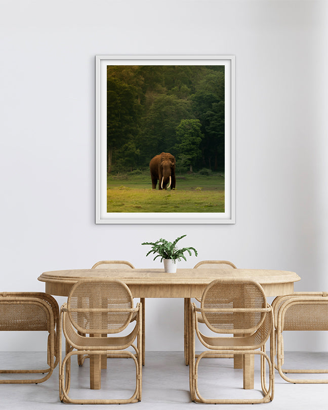 The Heart of India: A Majestic Tusker Stands Proud in the Heart of Nature - premium paper