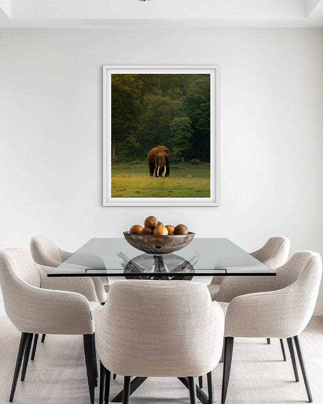 The Heart of India: A Majestic Tusker Stands Proud in the Heart of Nature - premium paper