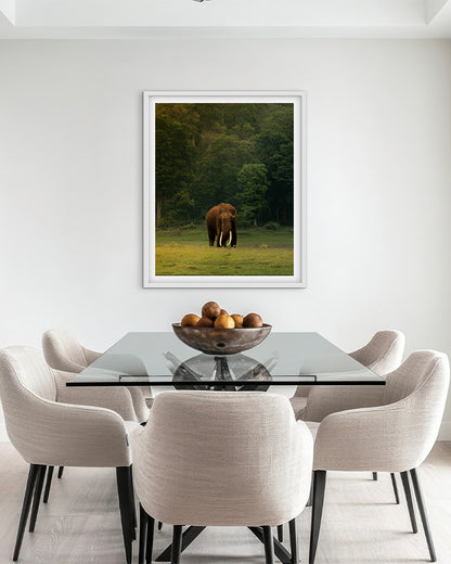 The Heart of India: A Majestic Tusker Stands Proud in the Heart of Nature - premium paper