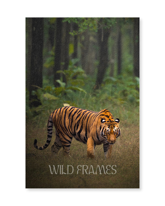 Stride – Framed Tiger Canvas for Statement  Interiors