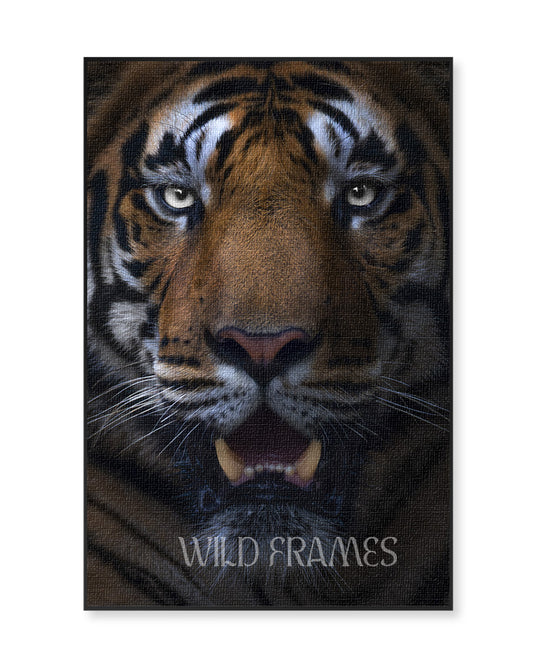 Gaze – Tiger Close-Up Canvas for Bold Interior  Design