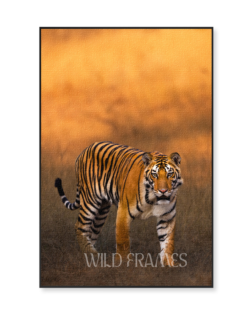 Aura – Tiger Canvas Art for Warm Interior Spaces