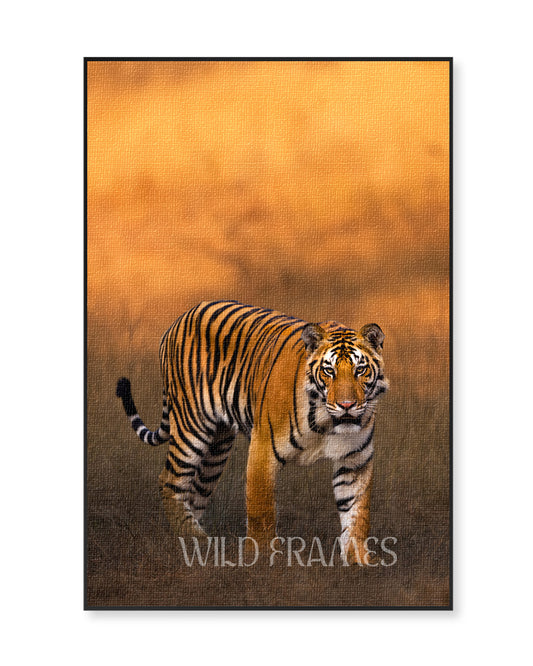 Aura – Tiger Canvas Art for Warm Interior Spaces