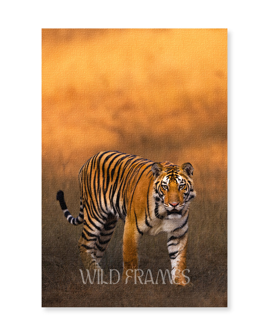 Aura – Tiger Canvas Art for Warm Interior Spaces