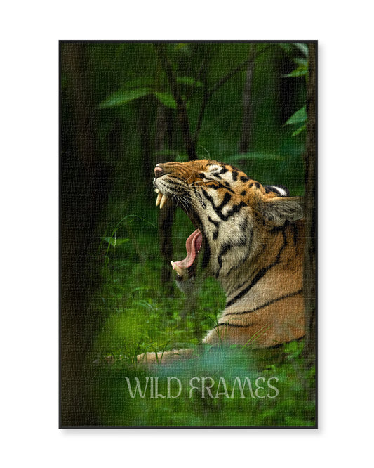 Reign – Tiger Canvas Wall Art for Bold Interior  Spaces