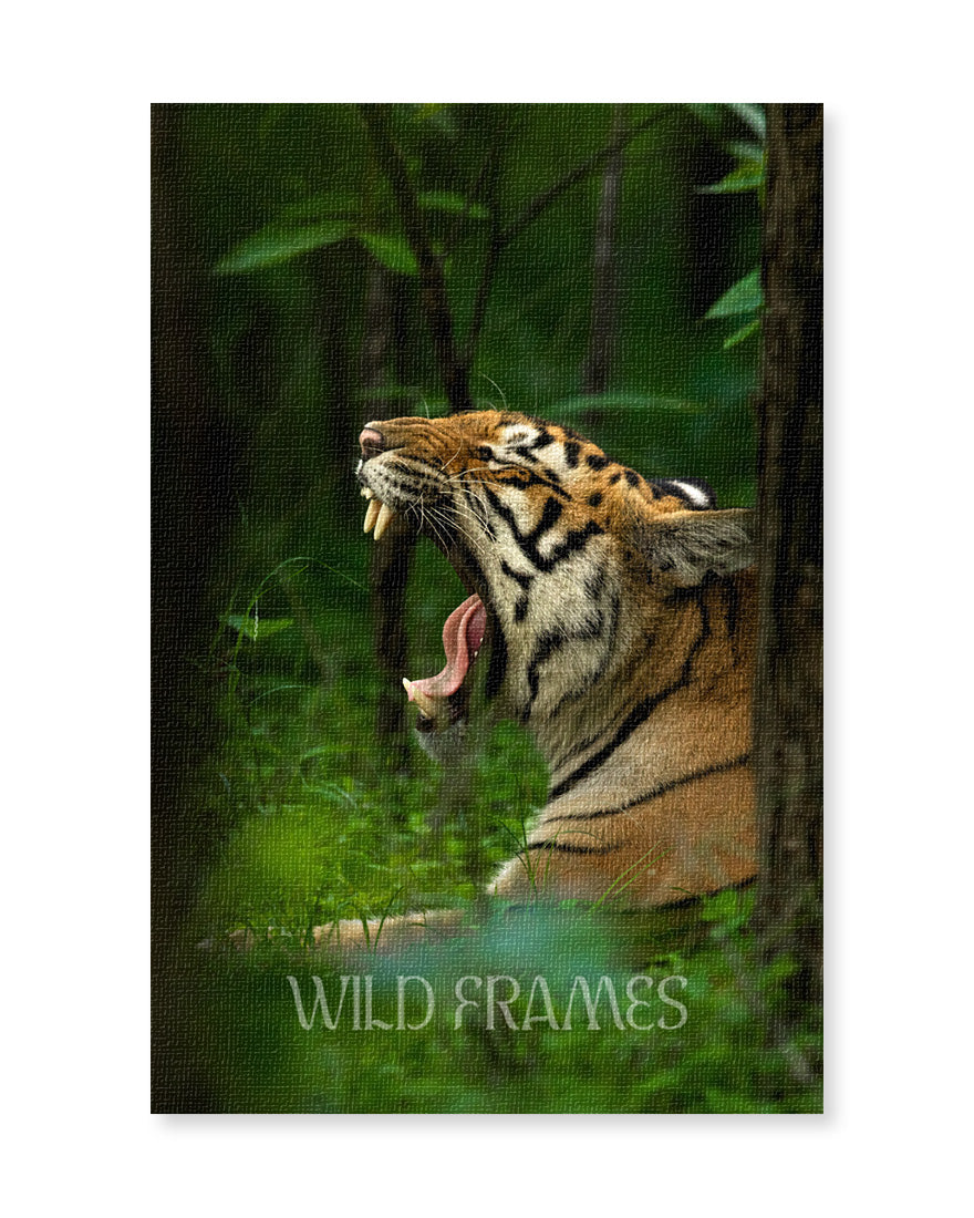 Reign – Tiger Canvas Wall Art for Bold Interior  Spaces