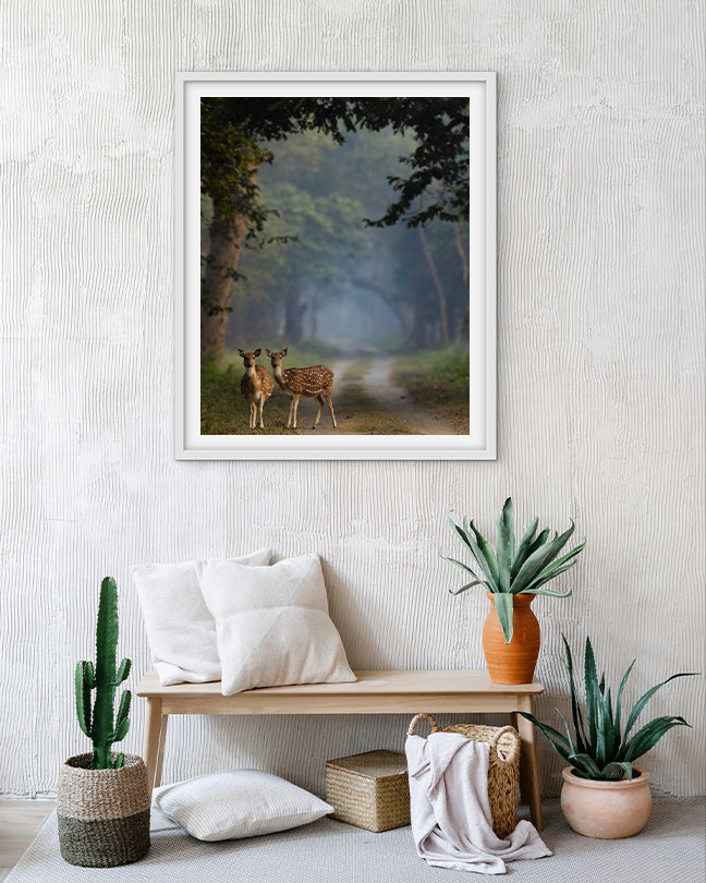 Whispers of the Wild – Luxury Deer photo frame for  Sustainable Interiors