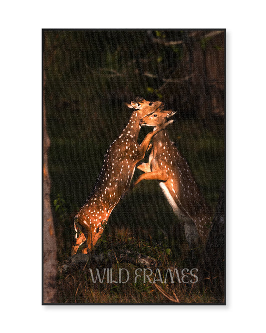 Embrace – Wildlife Canvas Wall Art for Modern  Interiors
