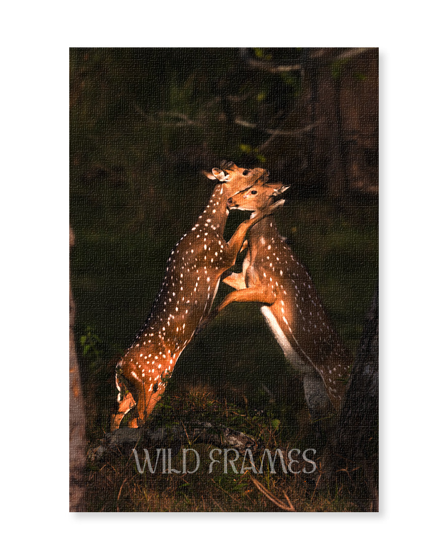 Embrace – Wildlife Canvas Wall Art for Modern  Interiors