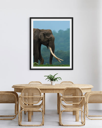 Monarch – Elephant photo frame Wall Art for Interior  Elegance