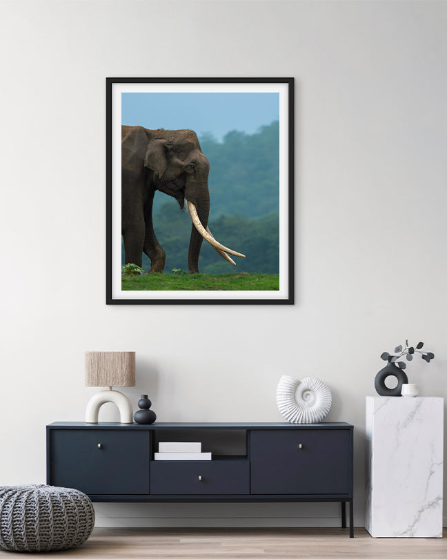 Monarch – Elephant photo frame Wall Art for Interior  Elegance