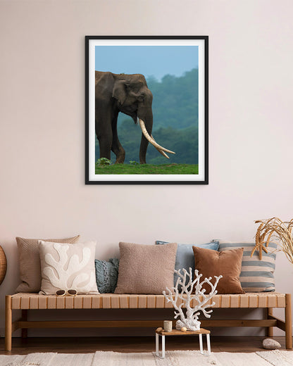 Monarch – Elephant photo frame Wall Art for Interior  Elegance